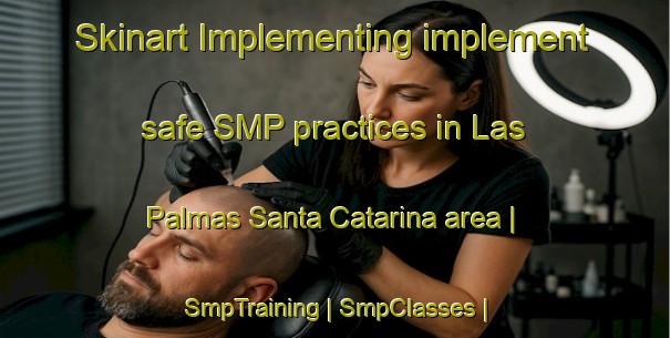 Skinart Implementing implement safe SMP practices in Las Palmas Santa Catarina area | SmpTraining | SmpClasses | SkinartTraining-Mexico